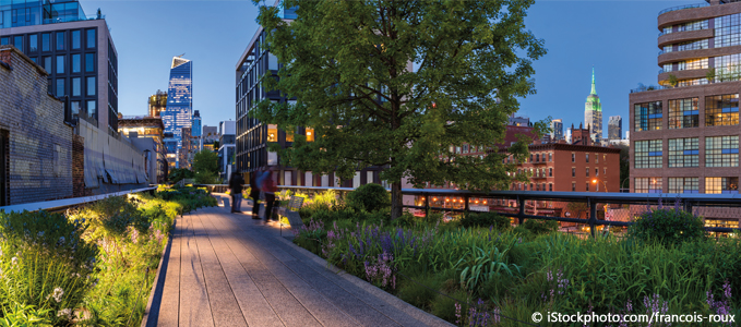 The High Line